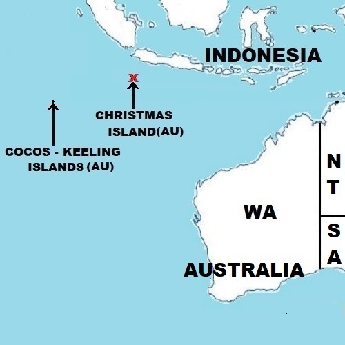 The Christmas Island Blue-tailed Skink (Cryptoblepharus egeriae) became extinct in the wild on Christmas Island and are being bred in captivity on the island and Taronga Park Zoo (Sydney).