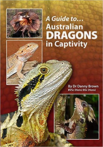 Australian Dragons In Captivity (A Guide to)