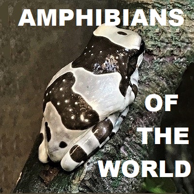 Amphibians of the World