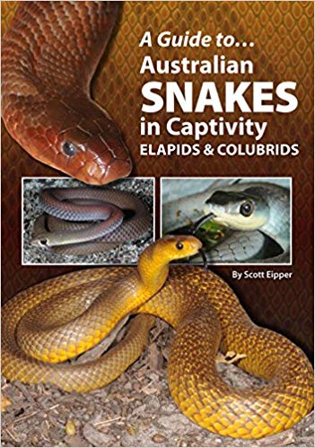 Australian Snakes In Captivity (A Guide to)