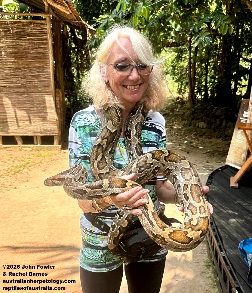 Rachel Barnes with a large Indian Rock Python (Python molurus) in Sri Lanka