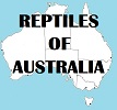 Reptilesofaustralia.com