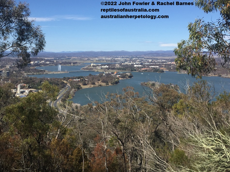 Woods Reserve (Canberra ACT)