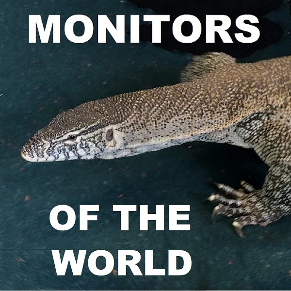 Monitors of The World