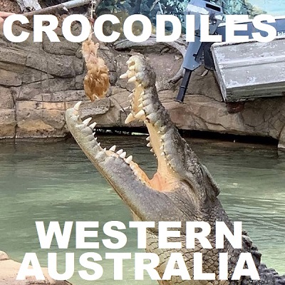 LISTING OF WESTERN AUSTRALIAN CROCODILES
