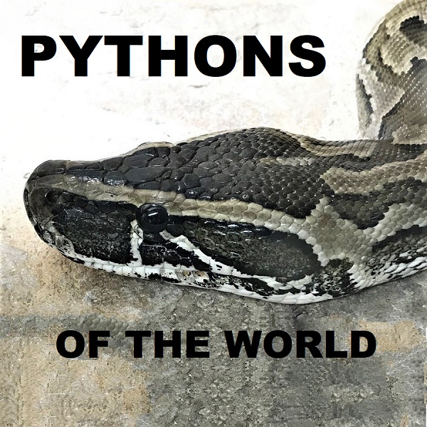 Pythons of the World