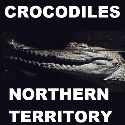 LISTING OF NORTHERN TERRITORY CROCODILES