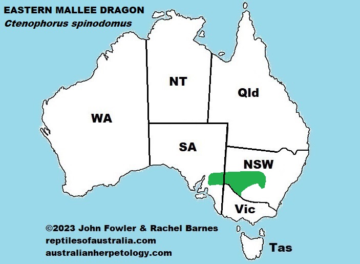 Approximate distribution of the Eastern Mallee Dragon (Ctenophorus spinodomus)