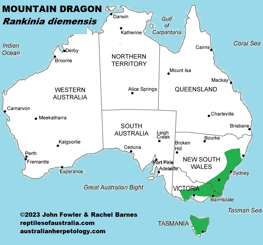 Approximate distribution of the Mountain Dragon (Rankinia diemensis)