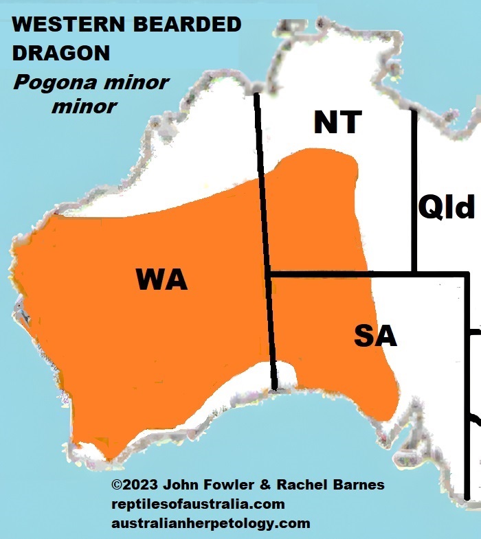 Approximate distribution of the Western Bearded Dragon (Pogona minor minor)
