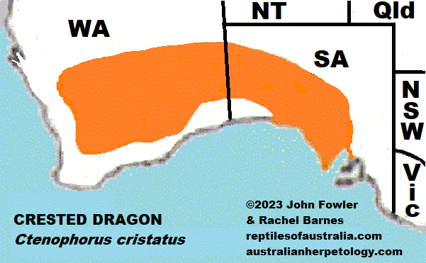 CRESTED (Bicycle) DRAGON Ctenophorus cristatus REPTILES OF AUSTRALIA map