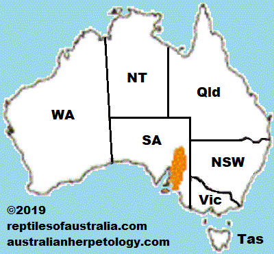 TAWNY DRAGON Ctenophorus decresii Reptiles of Australia map