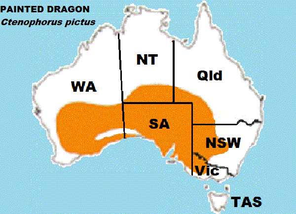Approximate distribution of the Painted Dragon Ctenophorus pictus map