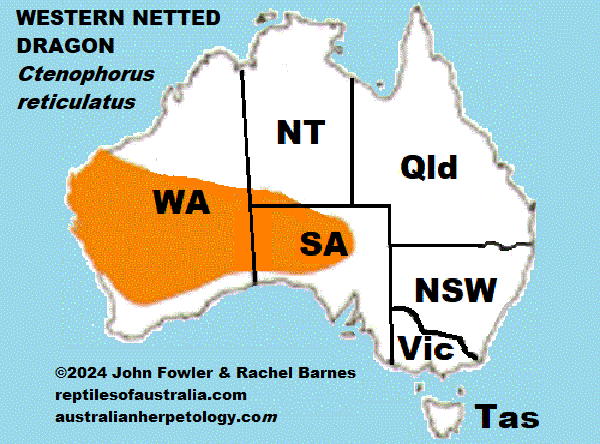 Approximate distribution of the Western Netted Dragon Ctenophorus reticulatus