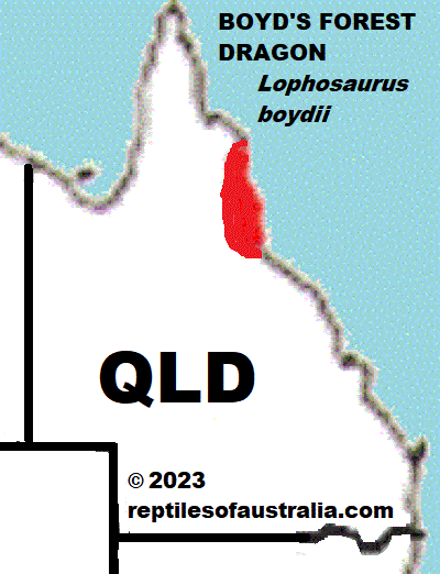 Approximate Distribution of BOYD'S FOREST DRAGON Lophosaurus boydii 