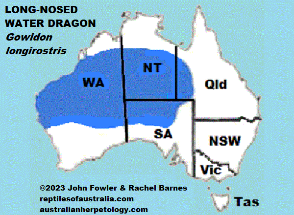 Approximate distribution of the Long Nosed Water Dragon (Gowidon longirostris)  map