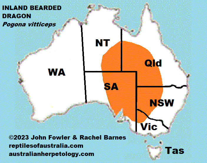 INLAND BEARDED DRAGON Pogona vitticeps REPTILES OF AUSTRALIA map