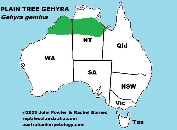 Approximate distribution of the Plain Tree Gehyra (Gehyra gemina)