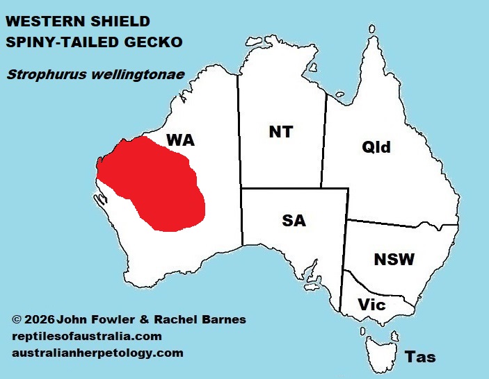 Approximate distribution of the Western Shield spiny-tailed gecko (Strophurus wellingtonae)