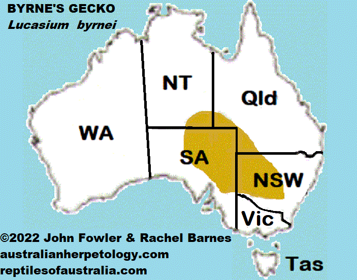 Approximate distribution of Byrne's Gecko (Lucasium byrnei)