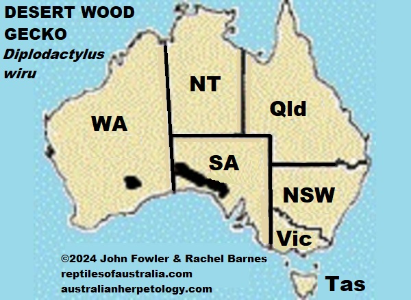 Approximate distribution of the D. wiru - Desert Wood Gecko Map
