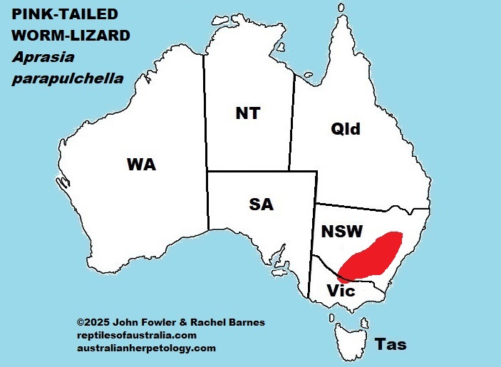 Approximate distribution of the Pink-tailed Worm Lizard (Aprasia parapulchella)