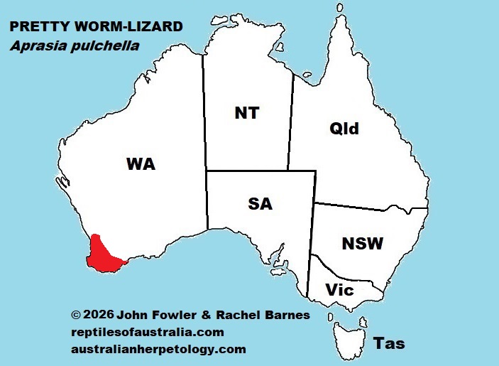 Approximate distribution of the Granite Worm-Lizard (Aprasia pulchella)