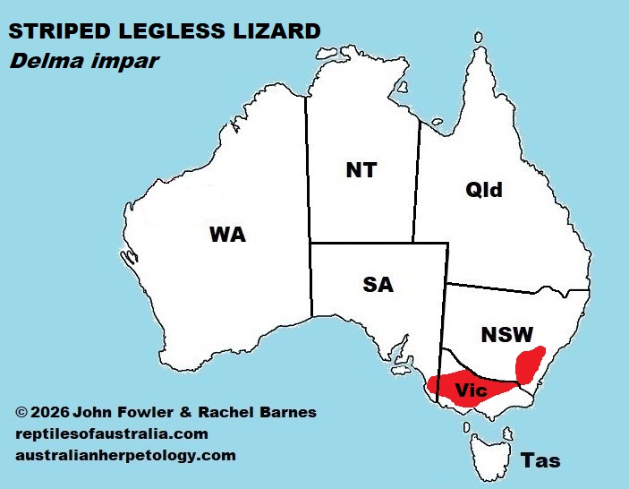 Approximate distribution of Striped Legless Lizard (Delma impar)