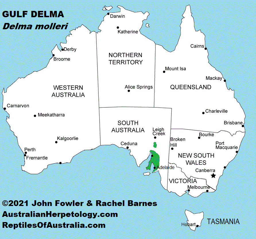 Approximate distribution of the Gulf Delma (Delma molleri)
