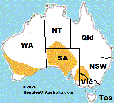Approximate distribution of the Marble-faced Delma Delma australis