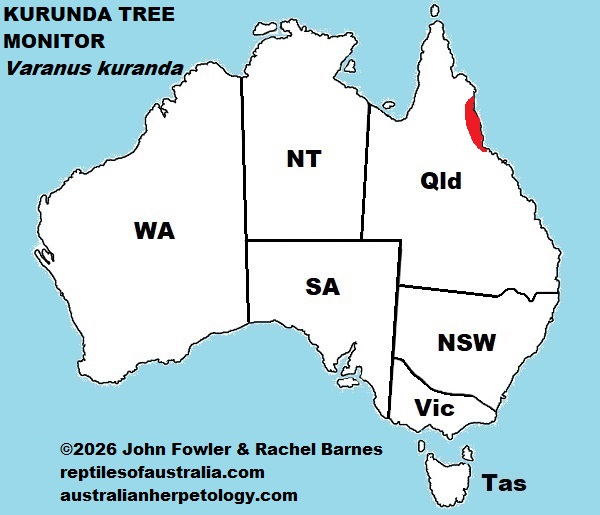 Approximate distribution of the Kurunda Tree Monitor (Varanus kurunda)