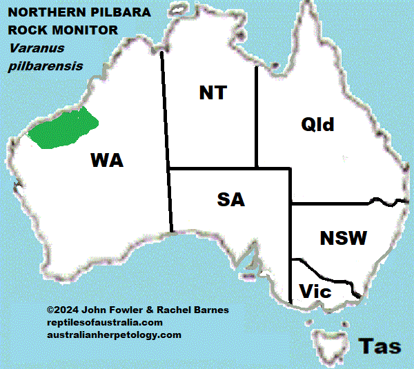 Approximate distribution of the Northern Pilbara Rock Monitor (Varanus pilbarensis)