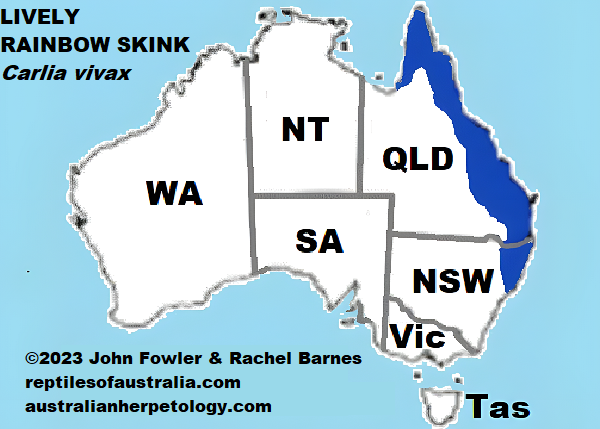 Approximate distribution map of the Lively (or Tussock) Rainbow Skink (Carlia vivax)
