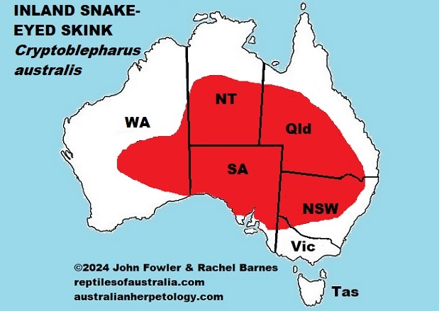 Approximate Distribution of the Inland Snake-eyed Skink (Cryptoblepharus australis)