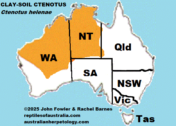 Approximate distribution of the Claysoil Ctenotus (Ctenotus helenae)