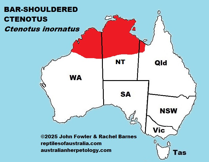 Approximate distribution of the Plain Ctenotus (Ctenotus inornatus)