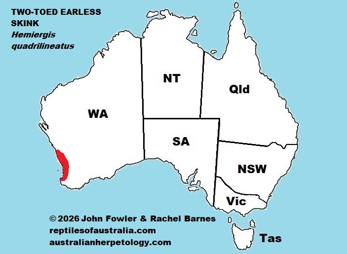 Approximate distribution of the Two-toed Earless Skink (Hemiergis quadrilineatus)