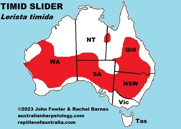 Approximate distribution of the Timid Slider (Lerista timida)