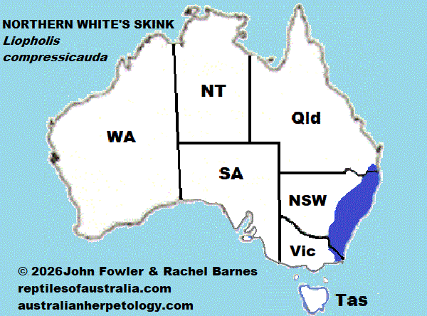 Approximate distribution of the Northern White's Skink (Liopholis compressicauda)