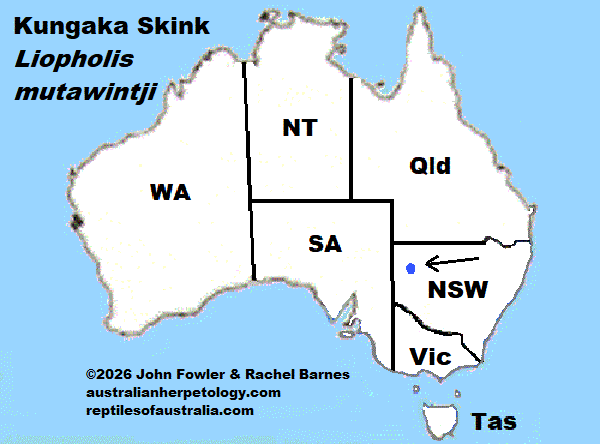 Approxmate distribution of the Kungaka Skink (Liopholis mutawintji