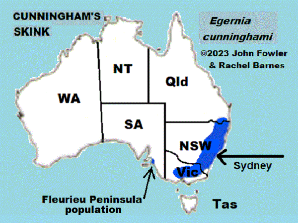 CUNNINGHAM'S SKINK Egernia cunninghami Reptiles of Australia map