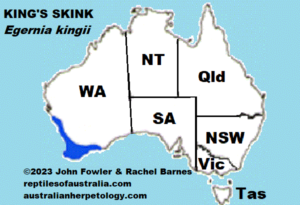 KING'S SKINK Egernia kingii map
