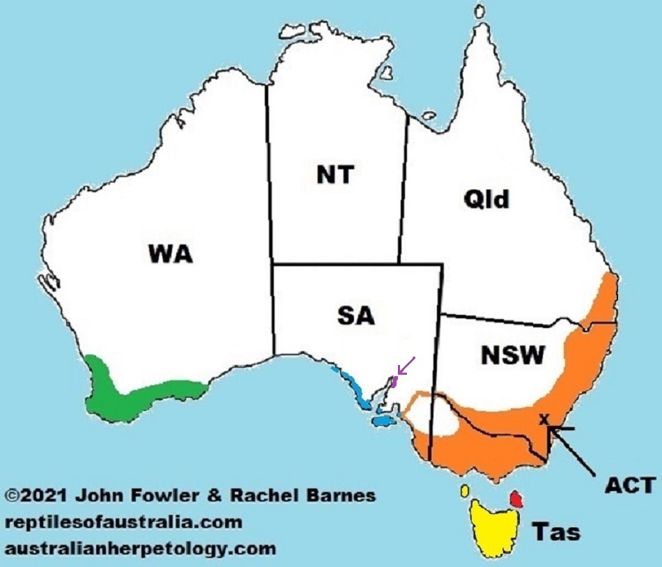 APPROXIMATE DISTRIBUTION OF THE "RACES" OF TIGER SNAKES (Notechis scutatus)