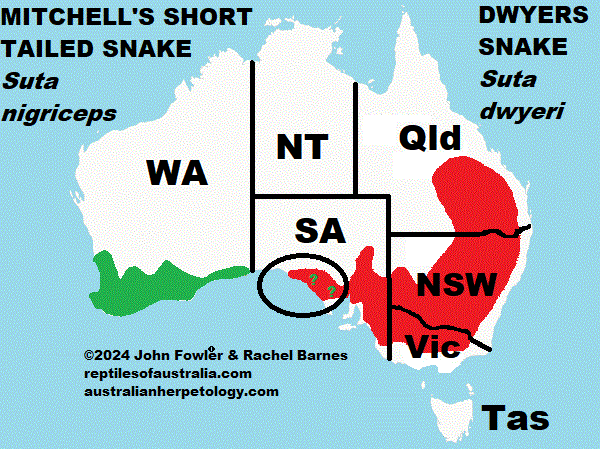 this approximate distribution map which is likely to be changed as more data be comes available shows Dwyer's Snake (Suta dwyeri) in RED and Mitchell's Short Tailed Snake (Suta nigriceps) in GREEN