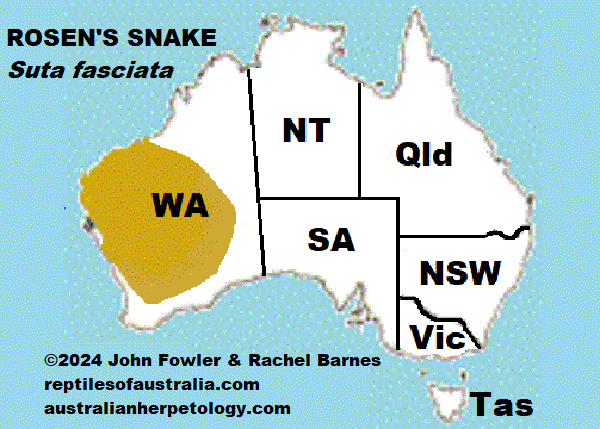 Approximate distribution of Rosen's Snake Suta fasciata 