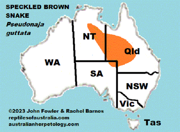 Approximate distribution of the Speckled Brown Snake (Pseudonaja guttata)