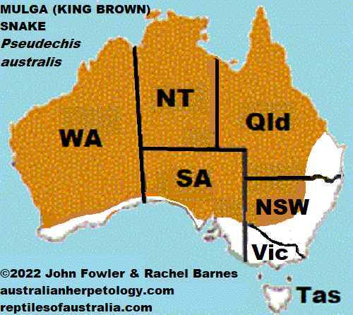 Pseudechis australis  map