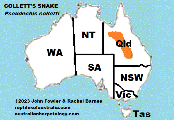 Approximate distribution of Collett's Snake (Pseudechis colletti)