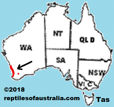 Reptiles of Australia