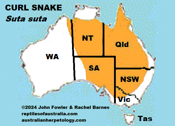 Approximate distribution of the Curl Snake (Suta suta)